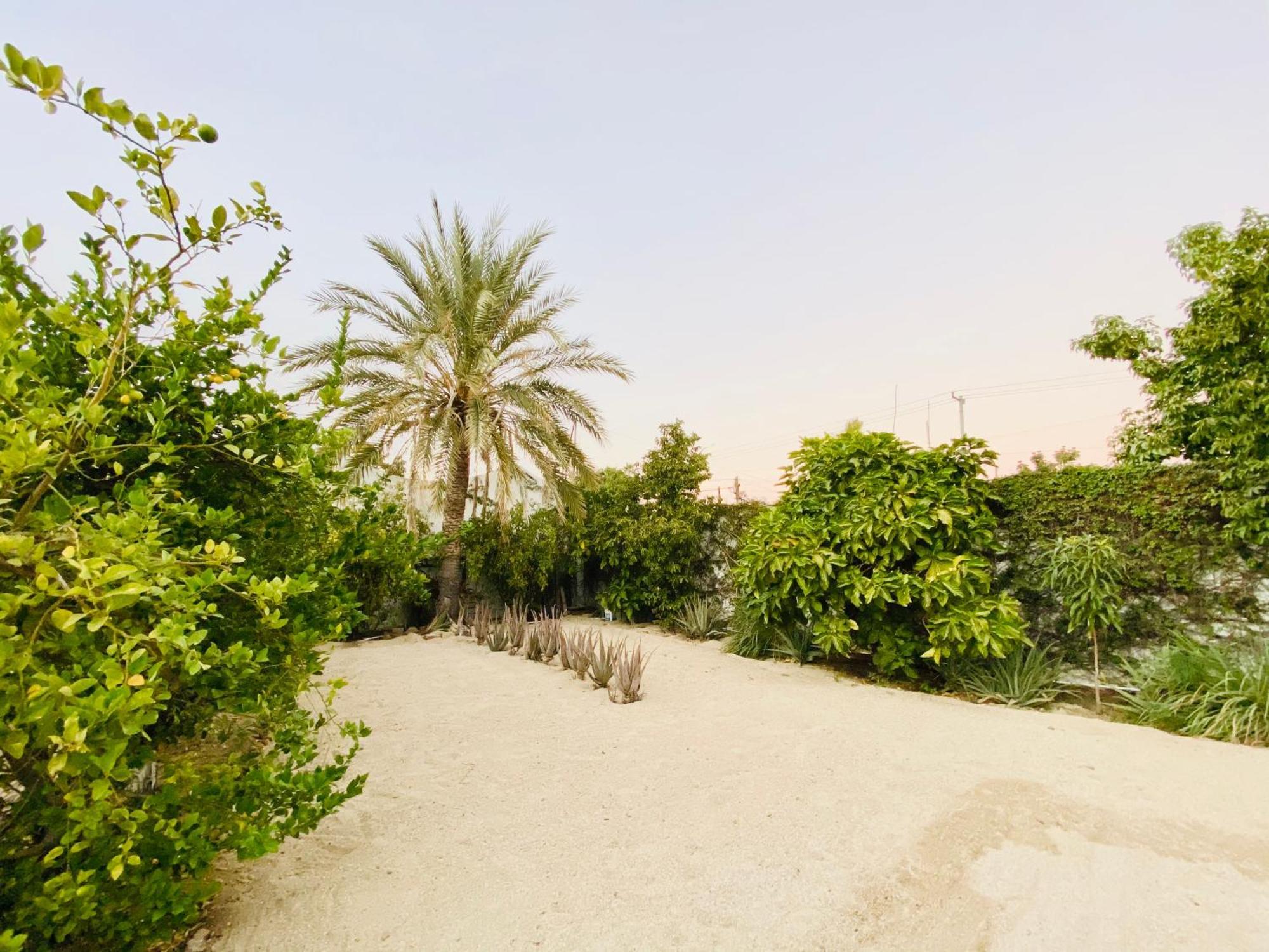 Cabo Bohemia Tropical Garden Studios Cabo San Lucas Exterior photo