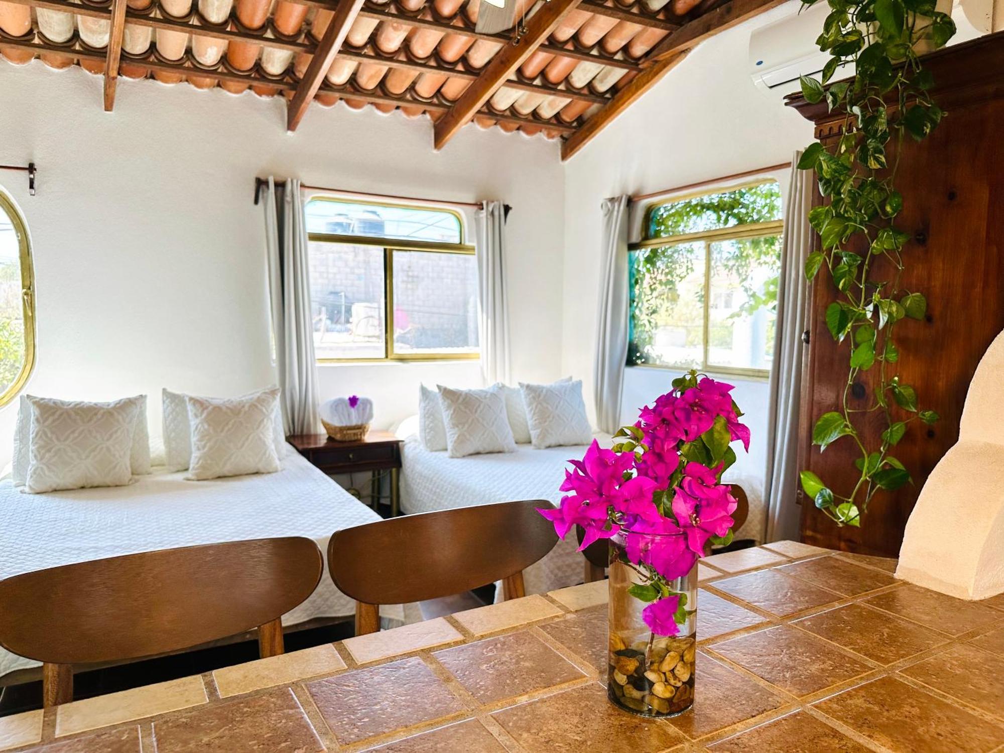 Cabo Bohemia Tropical Garden Studios Cabo San Lucas Exterior photo